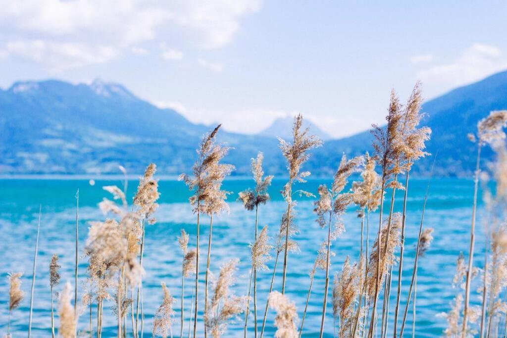 Le Boheme Beau T2 Vue Lac & Montagnes + Garage Annecy Exterior photo